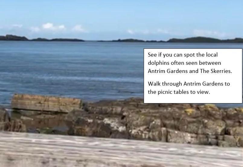 Apt3, No 2 Antrim Gardens, Portrush With Seaview 외부 사진
